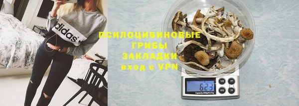ГАЛЛЮЦИНОГЕННЫЕ ГРИБЫ Краснотурьинск