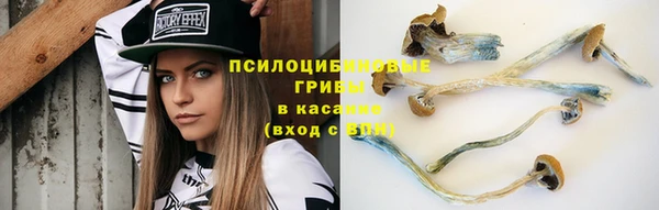 ГАЛЛЮЦИНОГЕННЫЕ ГРИБЫ Краснотурьинск