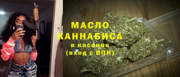 молекула духа Краснослободск