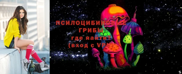 молекула духа Краснослободск